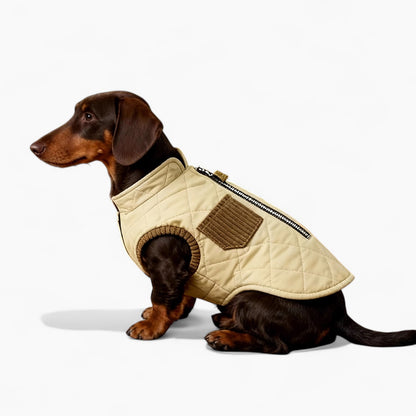 TrailPup-Dachshund-Winter-Vest.jpg