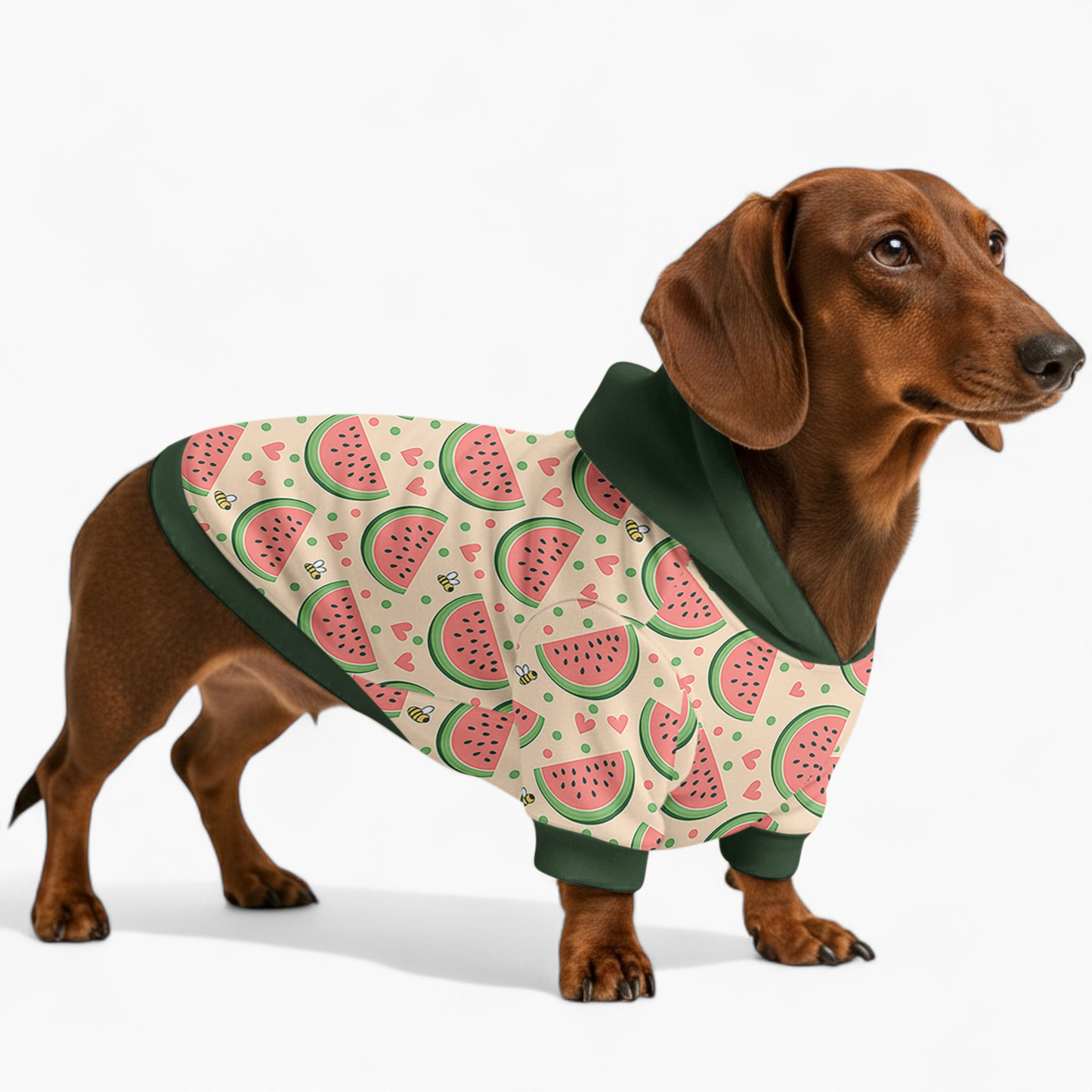 Elsa - Dachshund hoodie