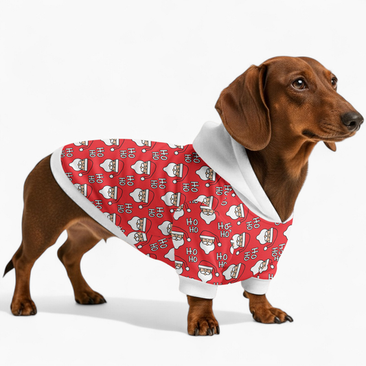 Elsie - Dachshund hoodie