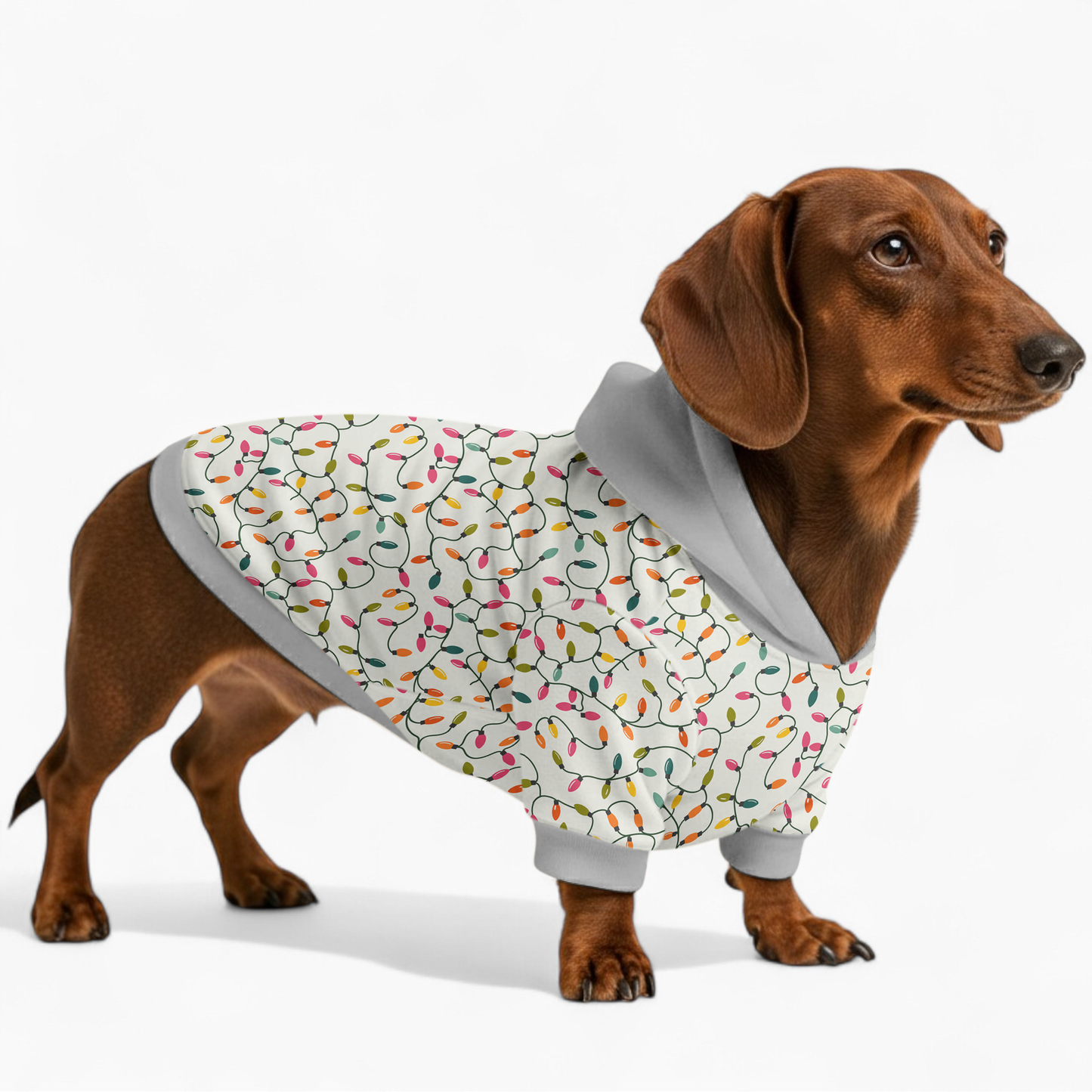 Emmy - Dachshund hoodie