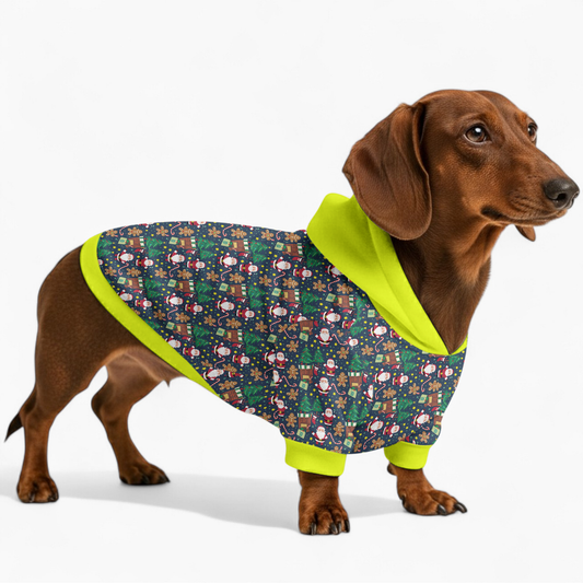 Faye - Dachshund hoodie