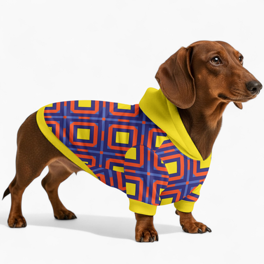 Gigi - Dachshund hoodie