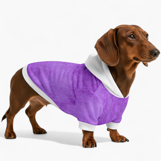 Haley - Dachshund hoodie