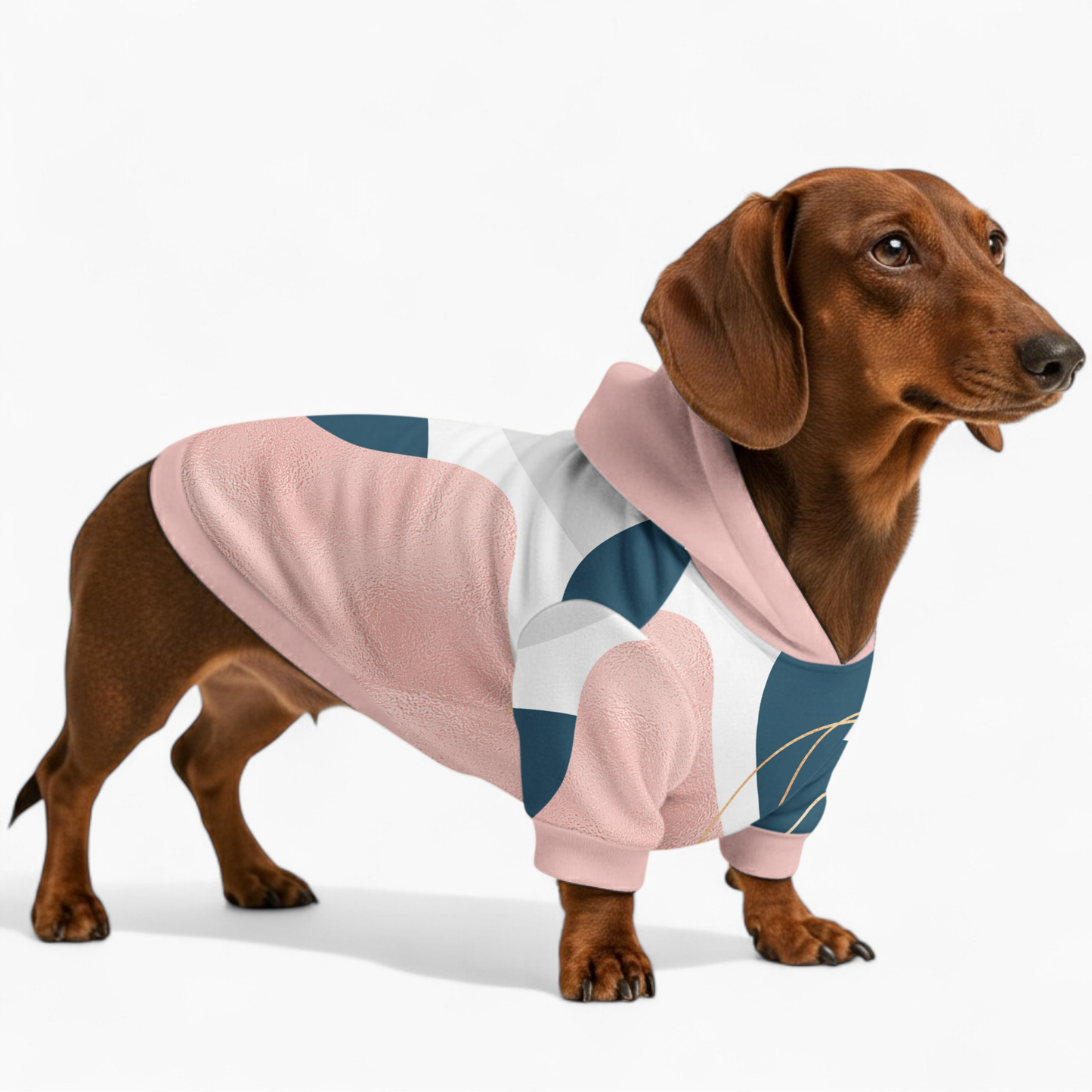 Honey - Dachshund hoodie