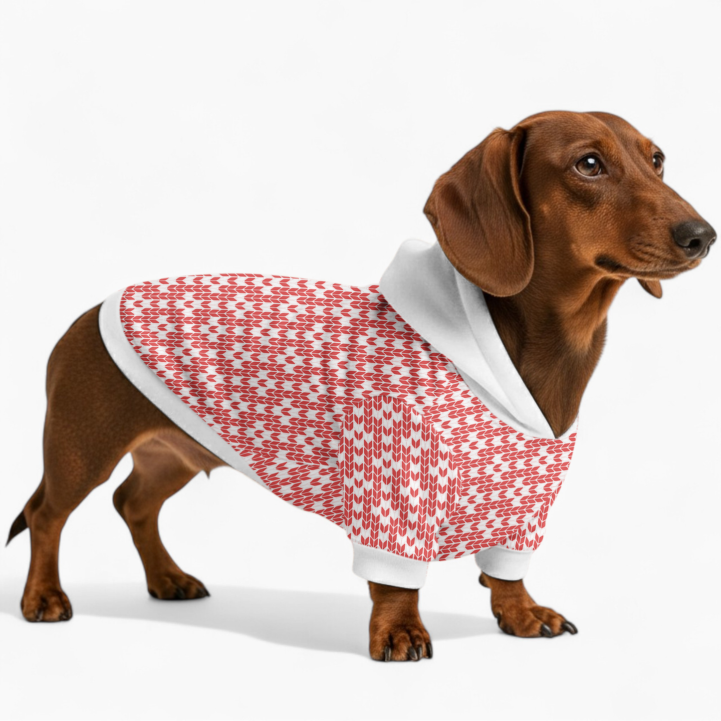Iris - Dachshund hoodie