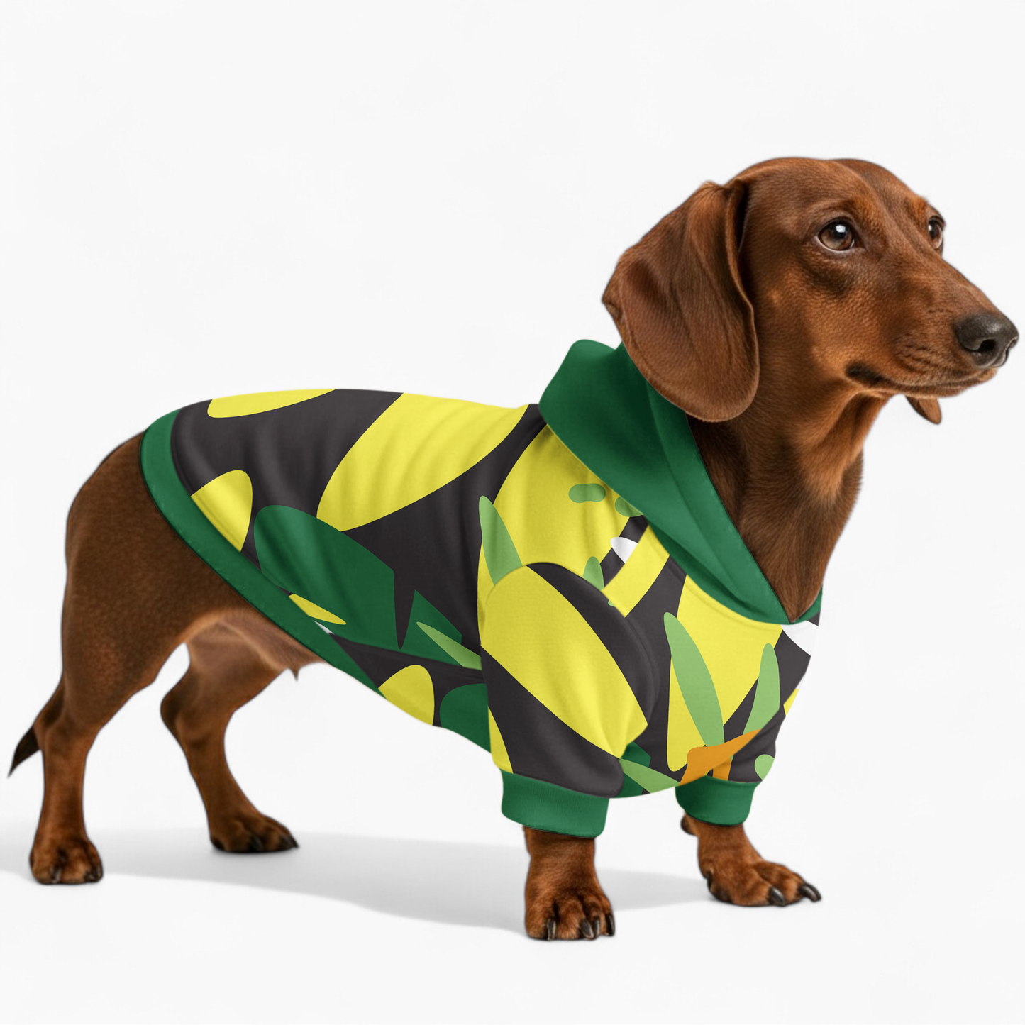 Ivy - Dachshund hoodie