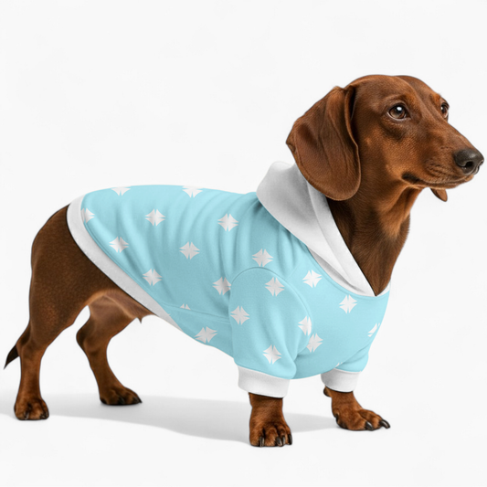 Jamie - Dachshund hoodie