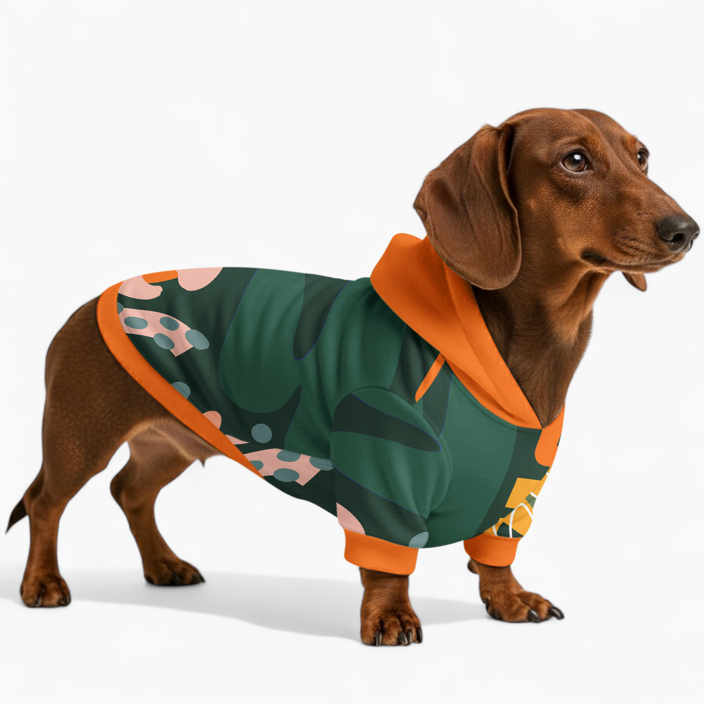 Jasmine - Dachshund hoodie