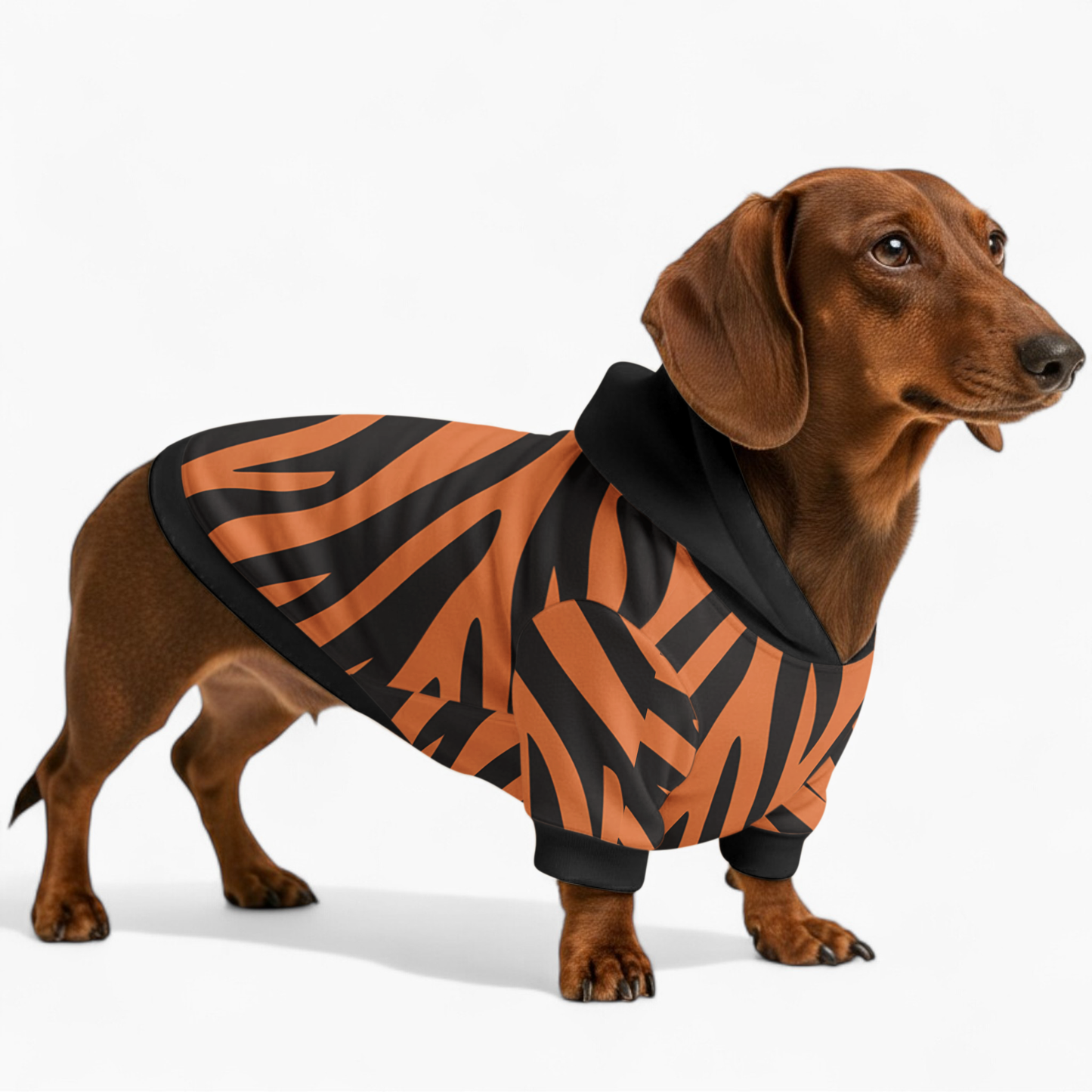 Kenna - Dachshund hoodie
