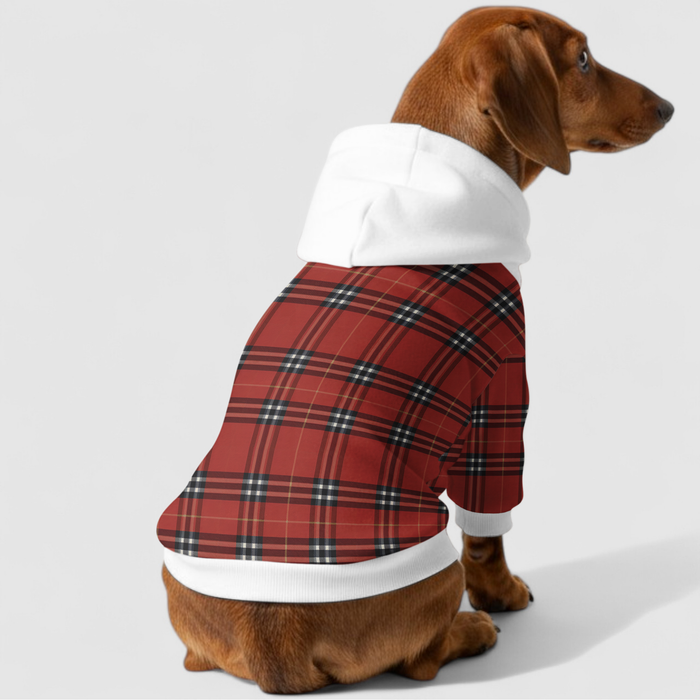 Matching doxie & owner hoodies