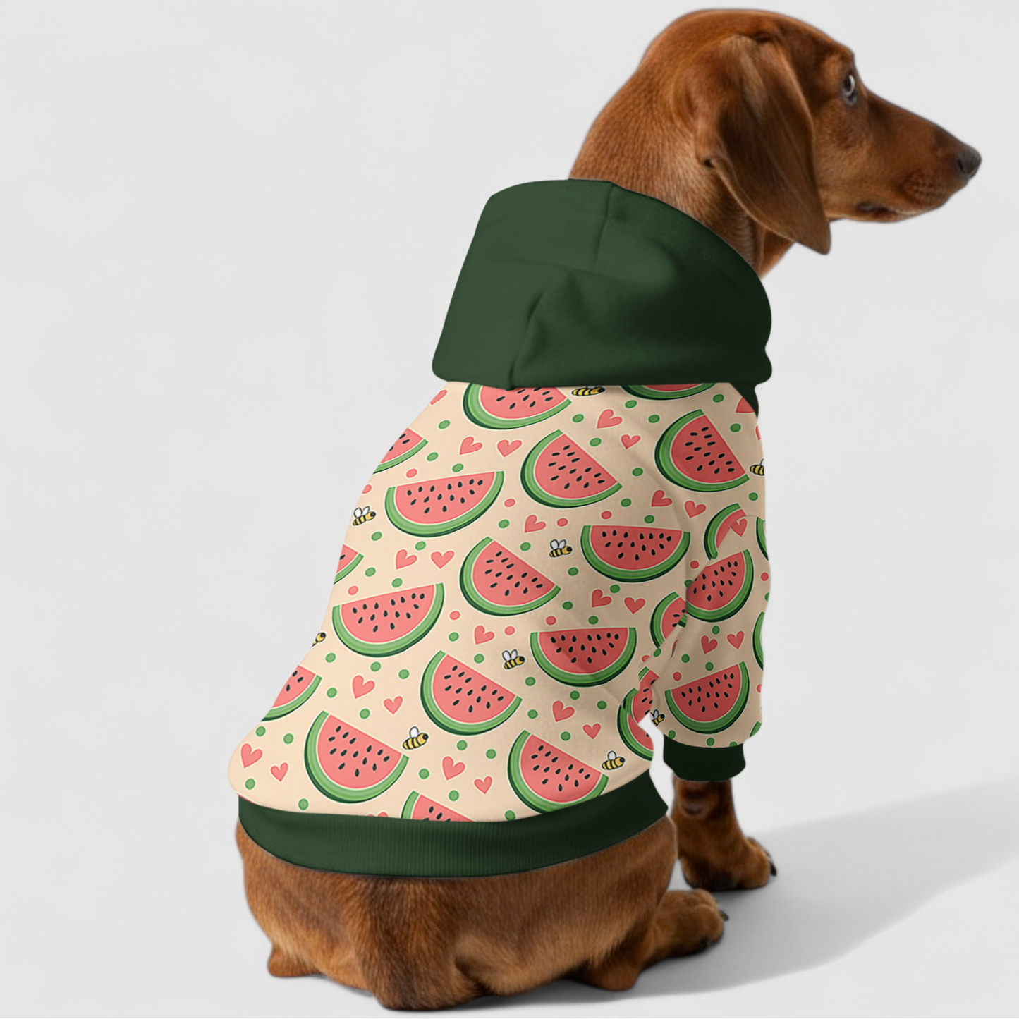 Elsa - Dachshund hoodie