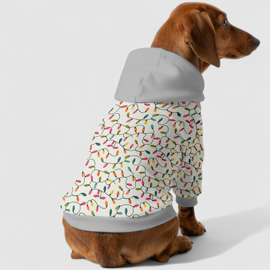 Emmy - Dachshund hoodie