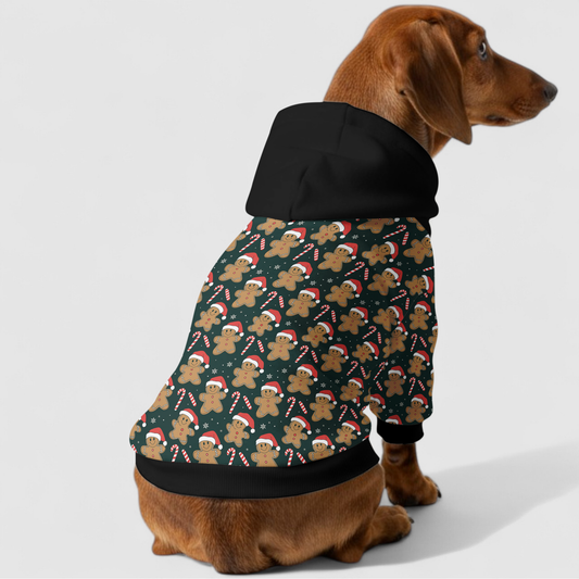 Fifi - Dachshund hoodie
