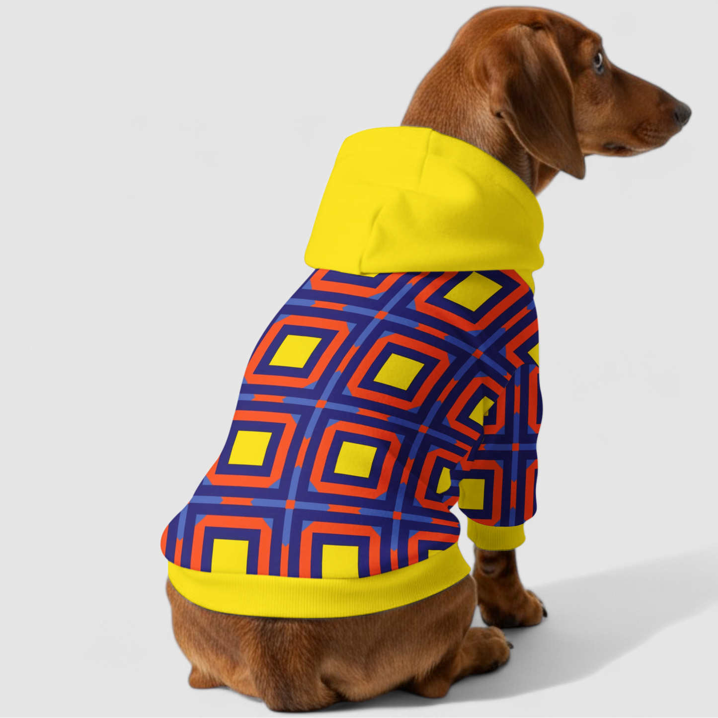 Gigi - Dachshund hoodie