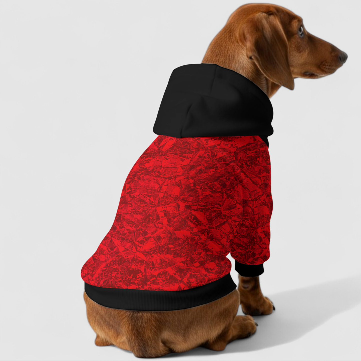 Ginger - Dachshund hoodie