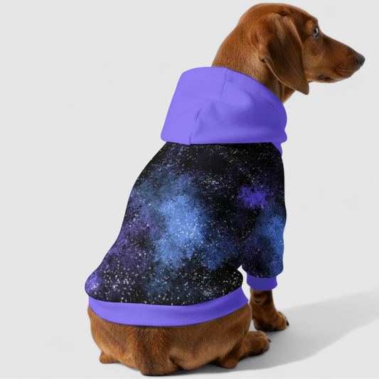 Goldie - Dachshund hoodie