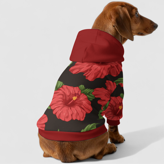 Iggy - Dachshund hoodie