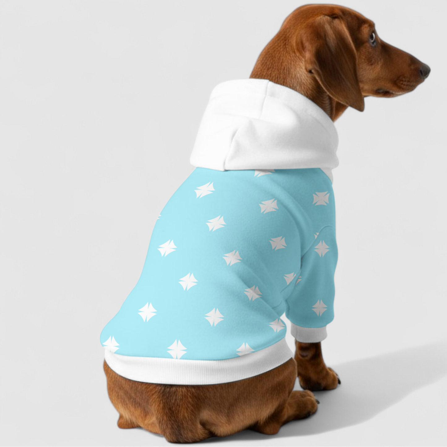 Jamie - Dachshund hoodie