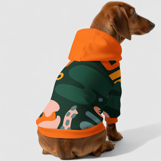 Jasmine - Dachshund hoodie