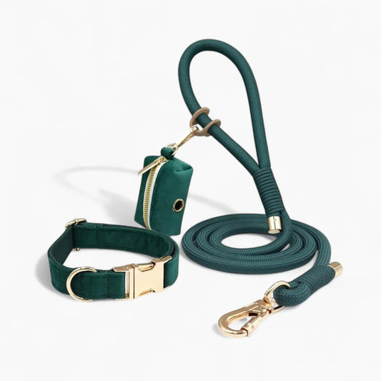 Velvuxe-Dachshund-Collar-Leash-Set.jpg