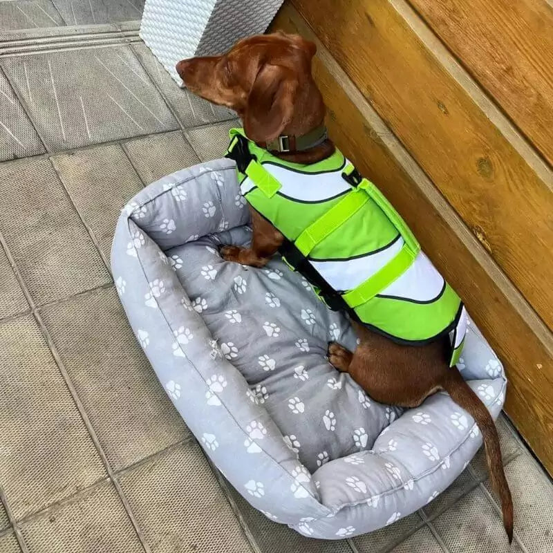 WagWave-Dachshund-Life-Jacket-www.doxie.us