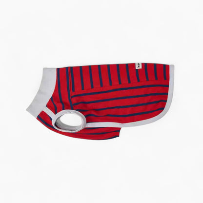 ZepHund-Dachshund-Striped-Shirt.jpg