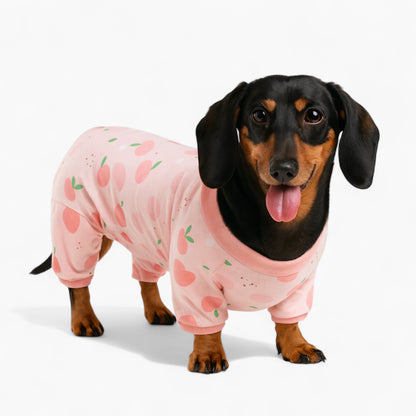 ZooPaws-Dachshund-Printed-Pajamas.jpg