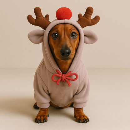 Reindeer Christmas hoodie on a dachshund