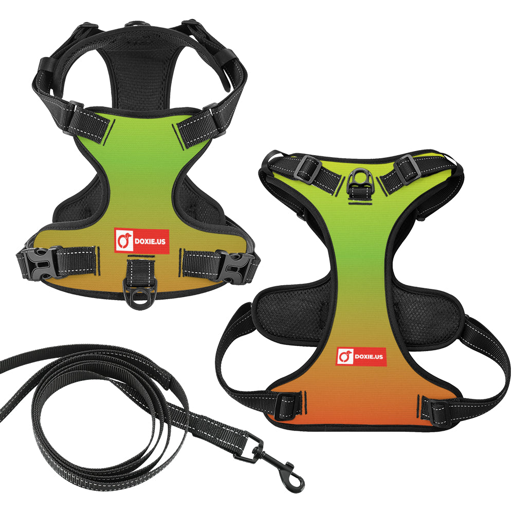 Oskar -  No-Pull Dachshund Dog Harness