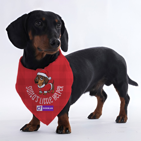 Santa's little helper - Bandanas for Dachshunds