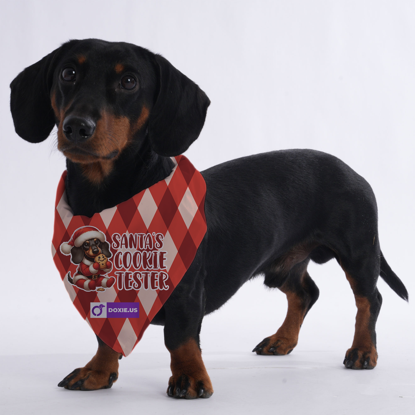 Santa's Cookie Tester - Bandanas for Dachshunds