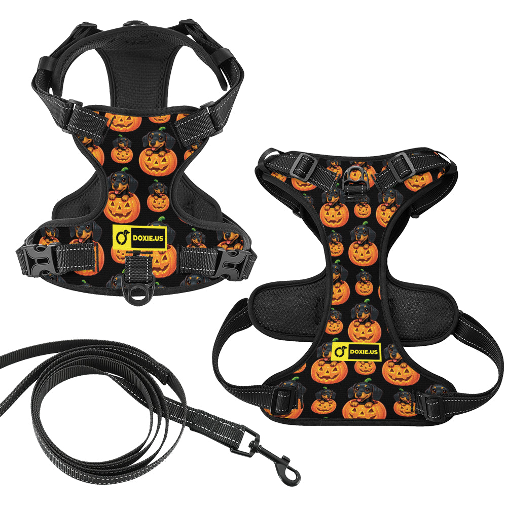 Sadie -  No-Pull Dachshund Dog Harness
