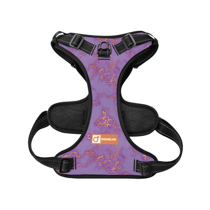 Buster -  No-Pull Dachshund Dog Harness