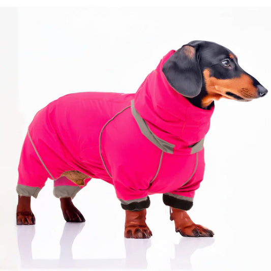 DachTrend Breathable Dachshund Raincoat