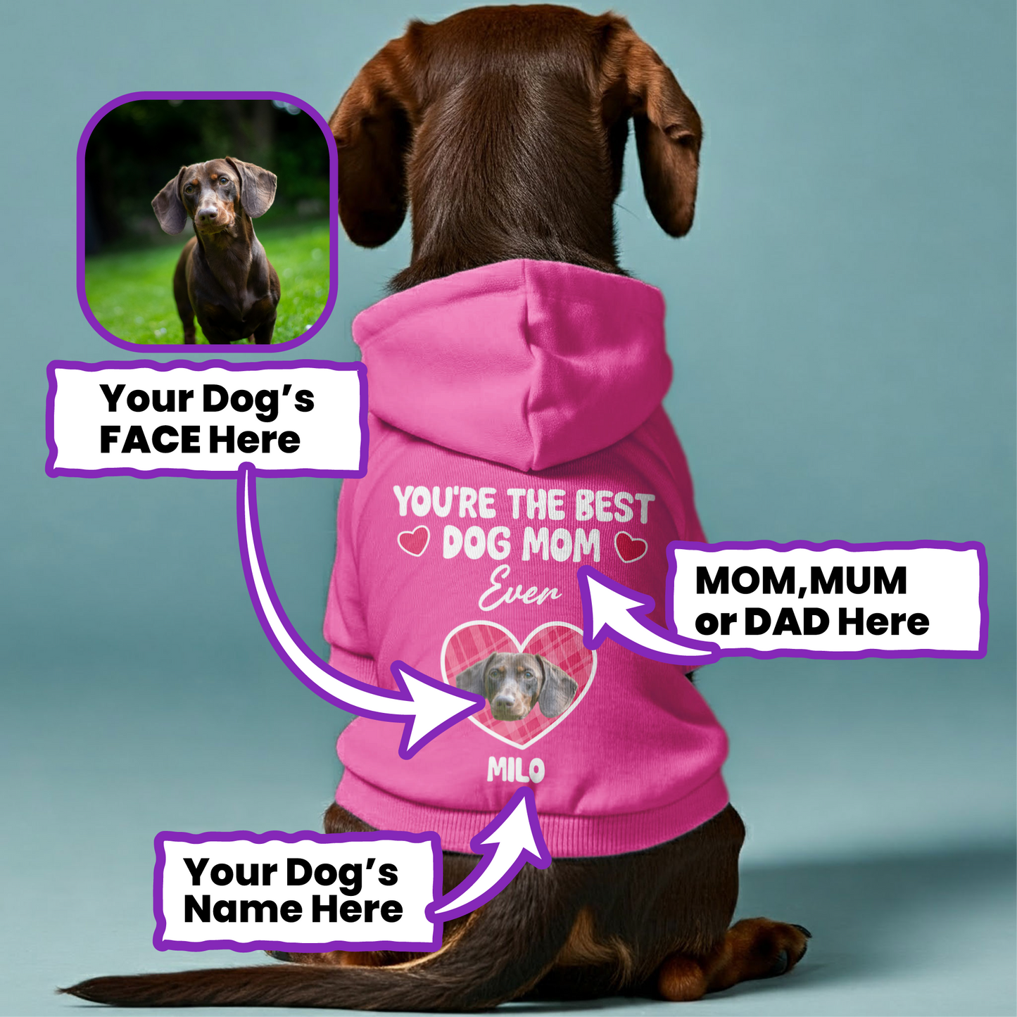 BEST DOG MOM – Personalized Dachshund Hoodies with Your Doxie’s Name & Photo – Stylish, Cozy & Made from Premium 100% Cotton