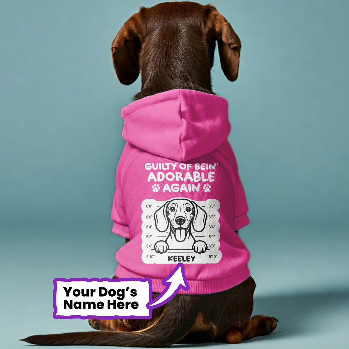 Guilty of bein’ - Personalized Dachshund Hoodies with your doxie name – Stylish, Cozy, and Premium 100% Cotton