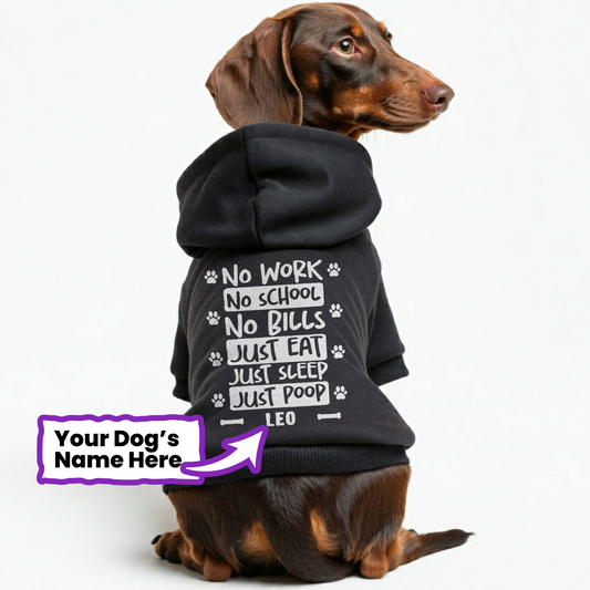 No school - Personalized Dachshund Hoodies with your doxie name – Stylish, Cozy, and Premium 100% Cotton