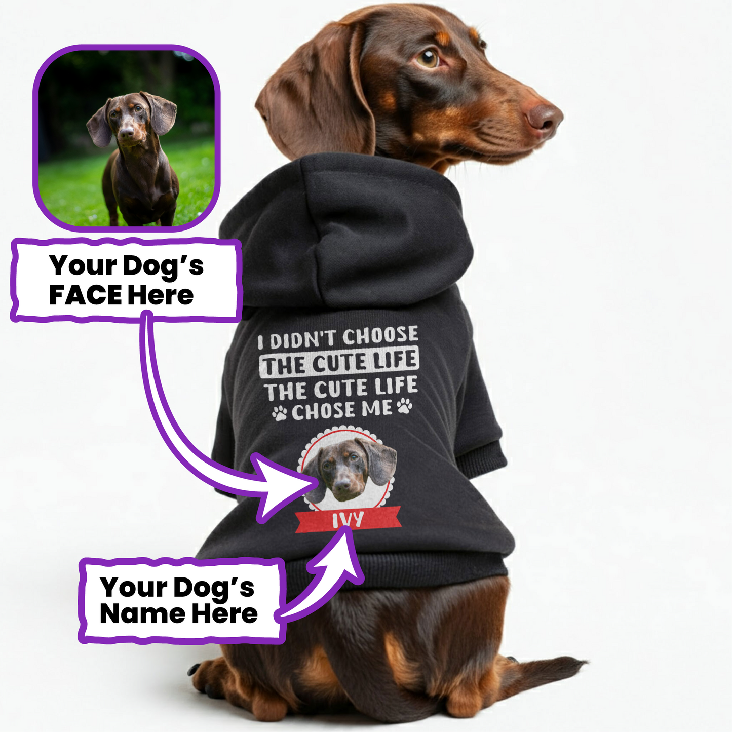 Cute Life – Personalized Dachshund Hoodies with Your Doxie’s Name & Photo – Stylish, Cozy & Made from Premium 100% Cotton