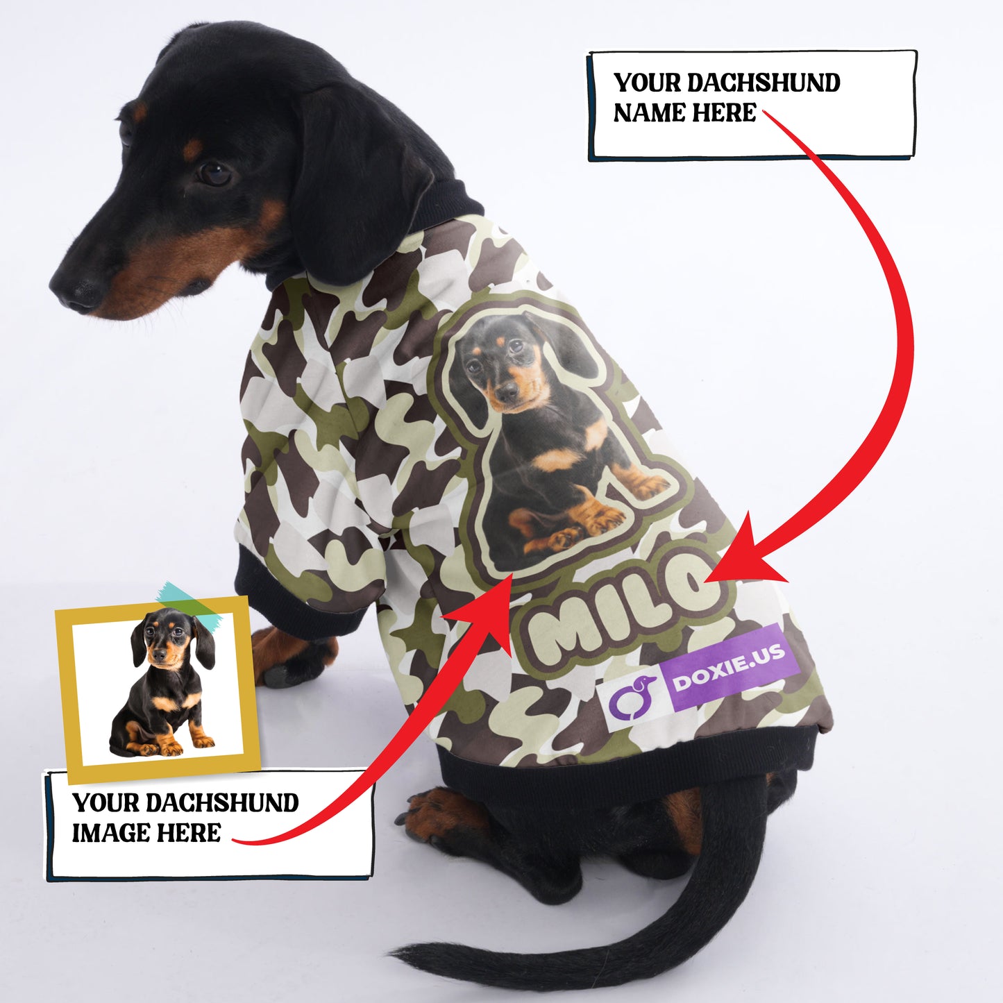 Custom Dachshund Jacket Featuring Your Dog's Name and Photo