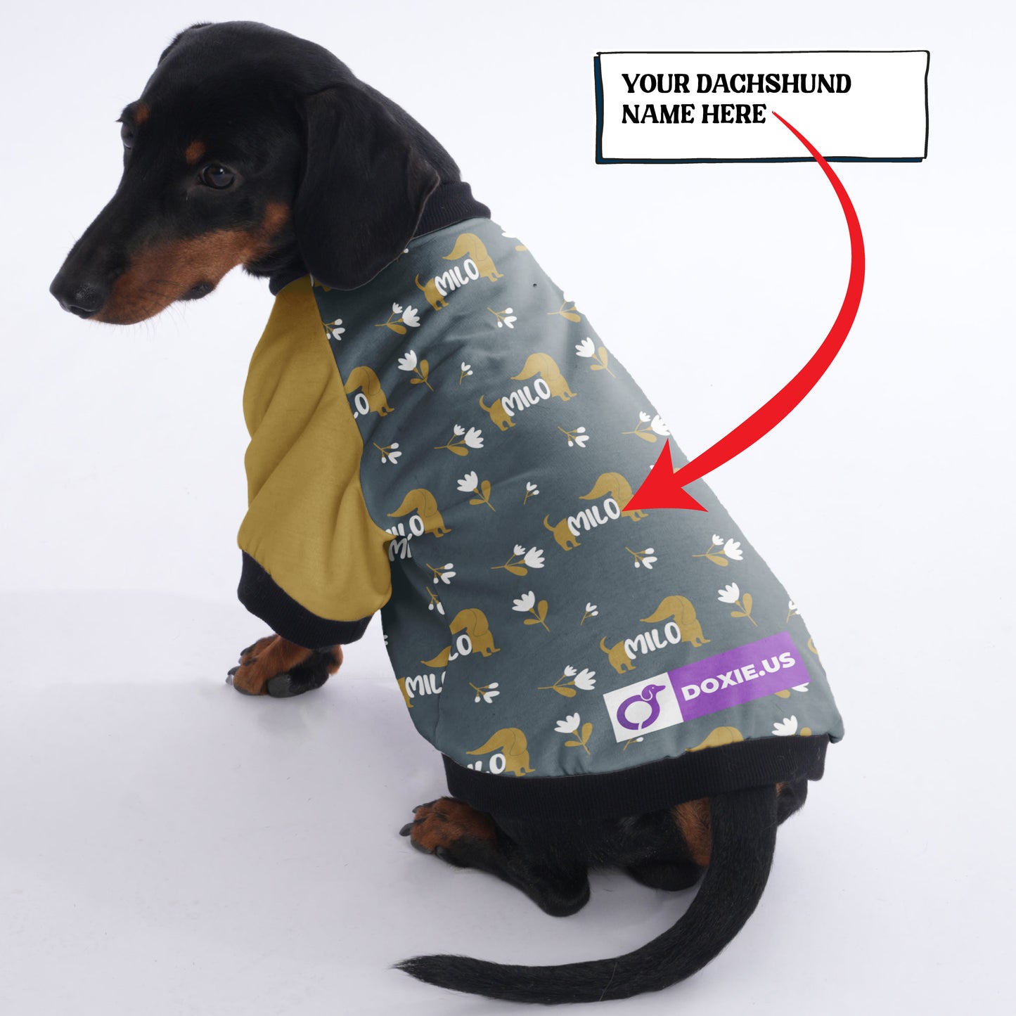 Custom Jacket for Dachshunds with Your Pet's Name Pattern