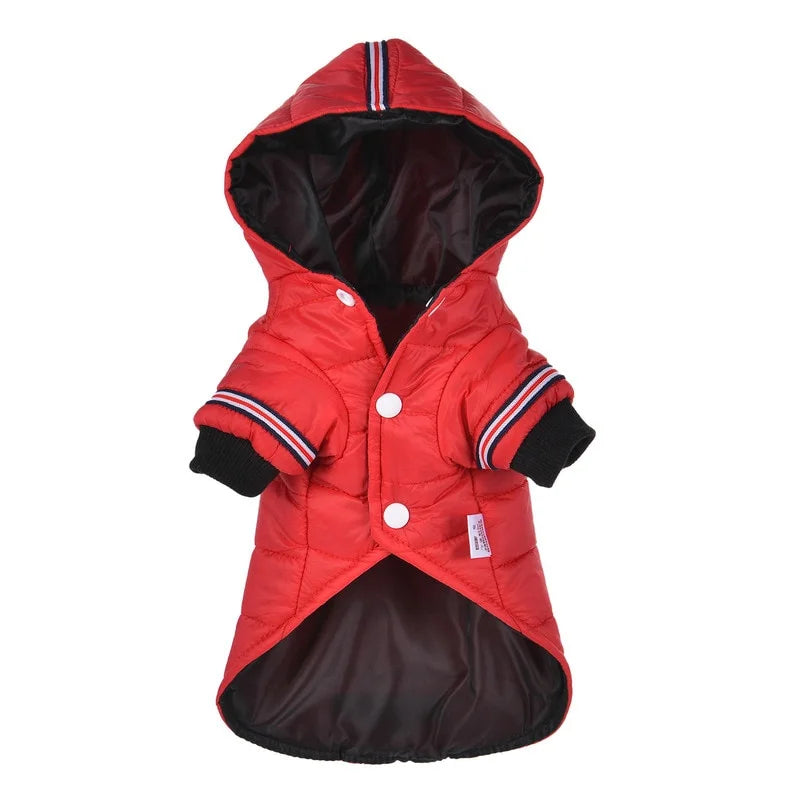 dachshund-puffer-fashion-jacket-doxie.us