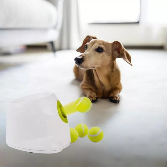 DachBall Automatic Tennis Ball Launcher for Dachshunds