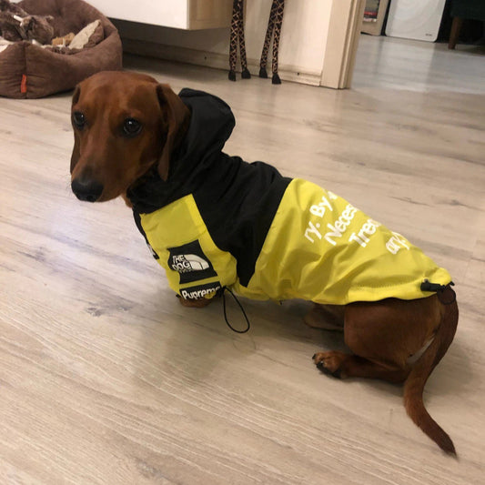 dog-face-windbreaker-rain-jacket-doxie.us