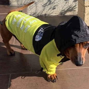 dog-face-windbreaker-rain-jacket-doxie.us