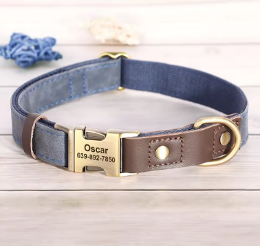Dachshund Leather Collar with Leash – Personalized Engraved ID Adjustable