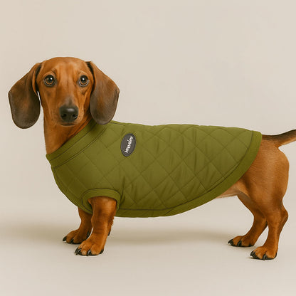 Cozy Quilted Dachshund Jacket with Snap Closure