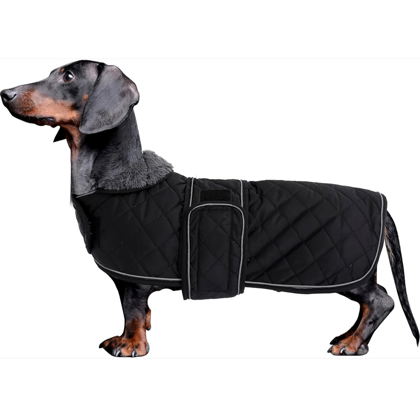 Dachshund Quilted Warm Winter Coat