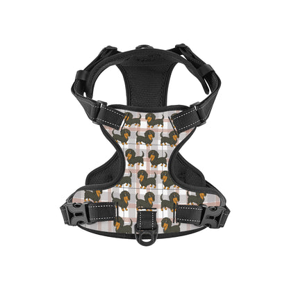 Thistle -  Personalized No-Pull Dachshund Dog Harness