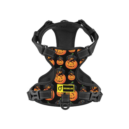 Sadie -  No-Pull Dachshund Dog Harness