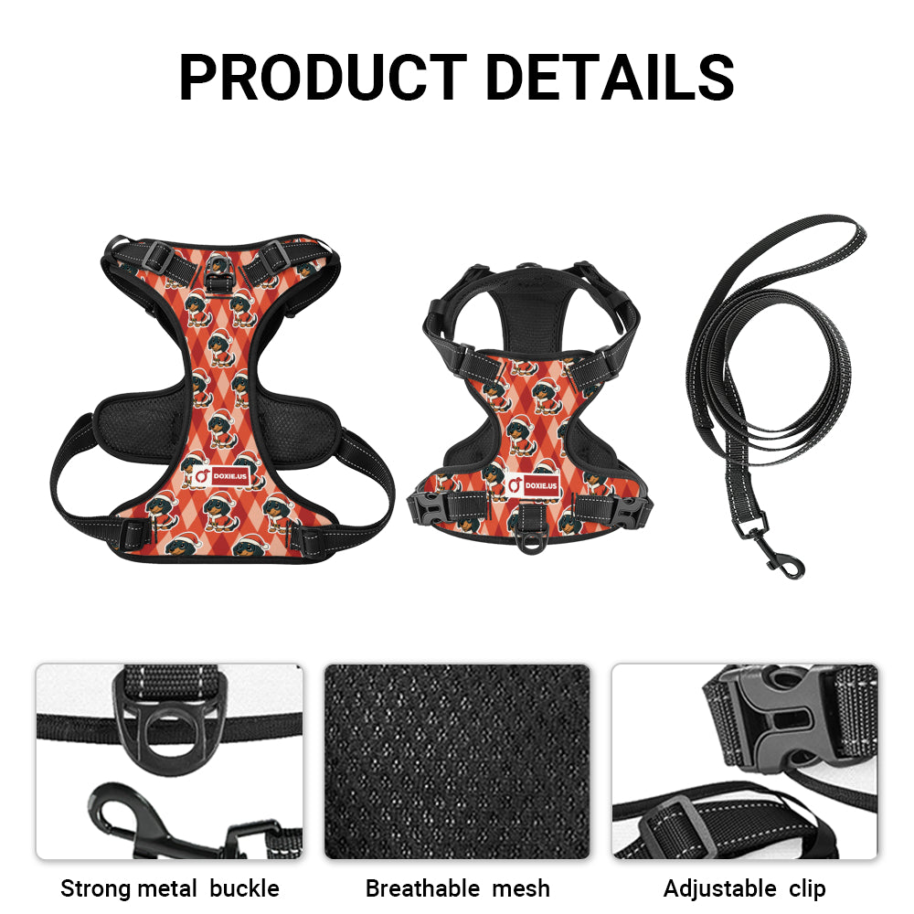 Jack -  No-Pull Dachshund Dog Harness